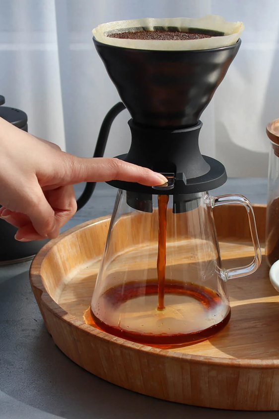 Hario Switch Immersion Dripper